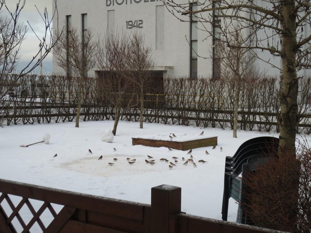Teigur Guesthouse Akranes Exterior foto